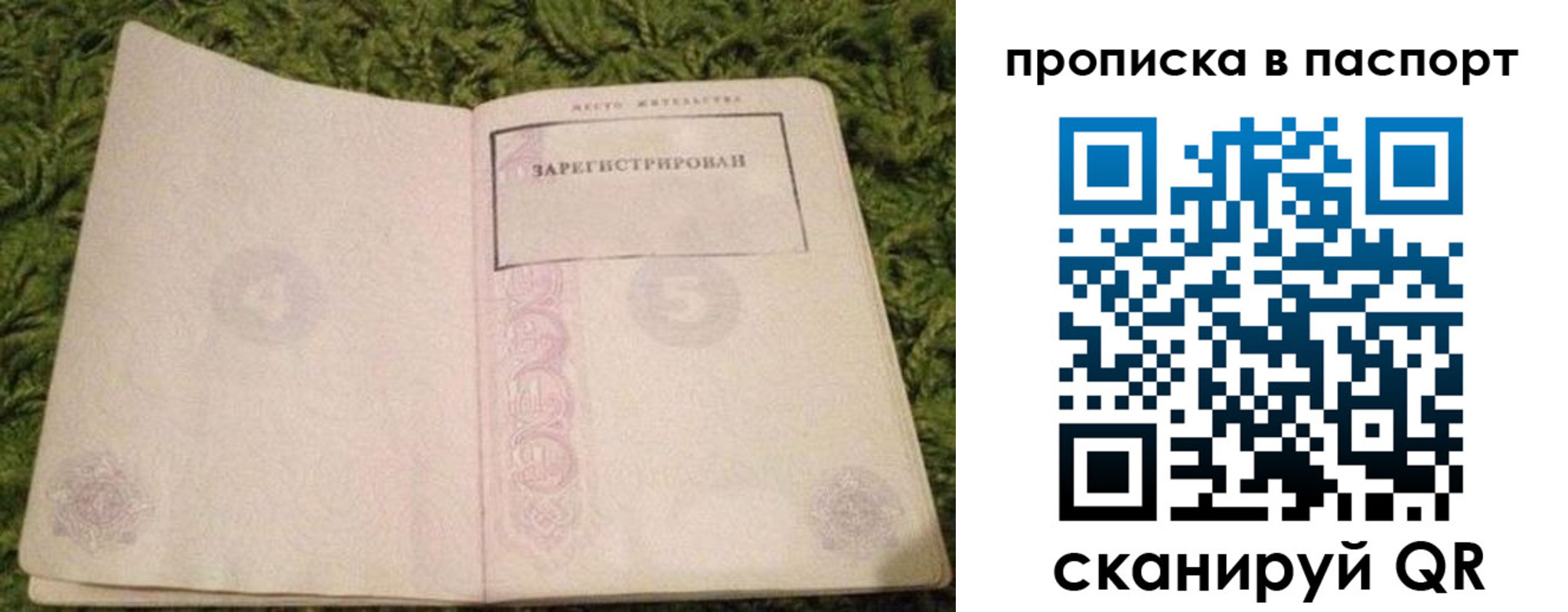найти адрес прописки в Луге